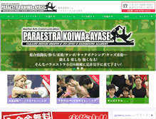 Tablet Screenshot of paraestrakoiwa.com